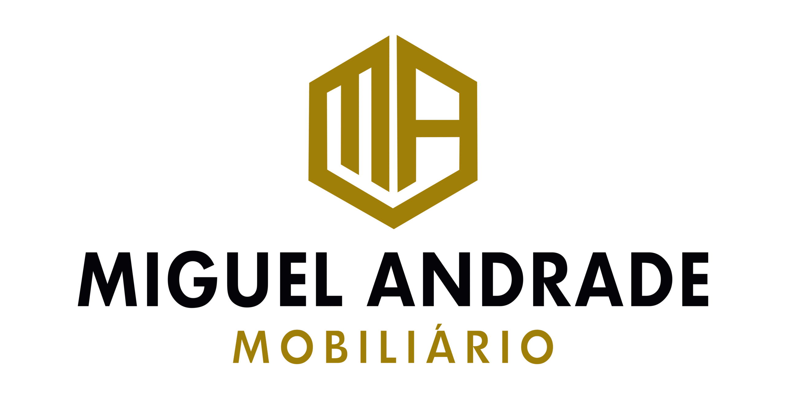 Miguel andrade 1