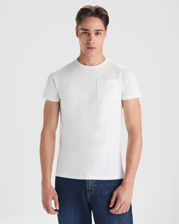 T-shirt Teckel 6523